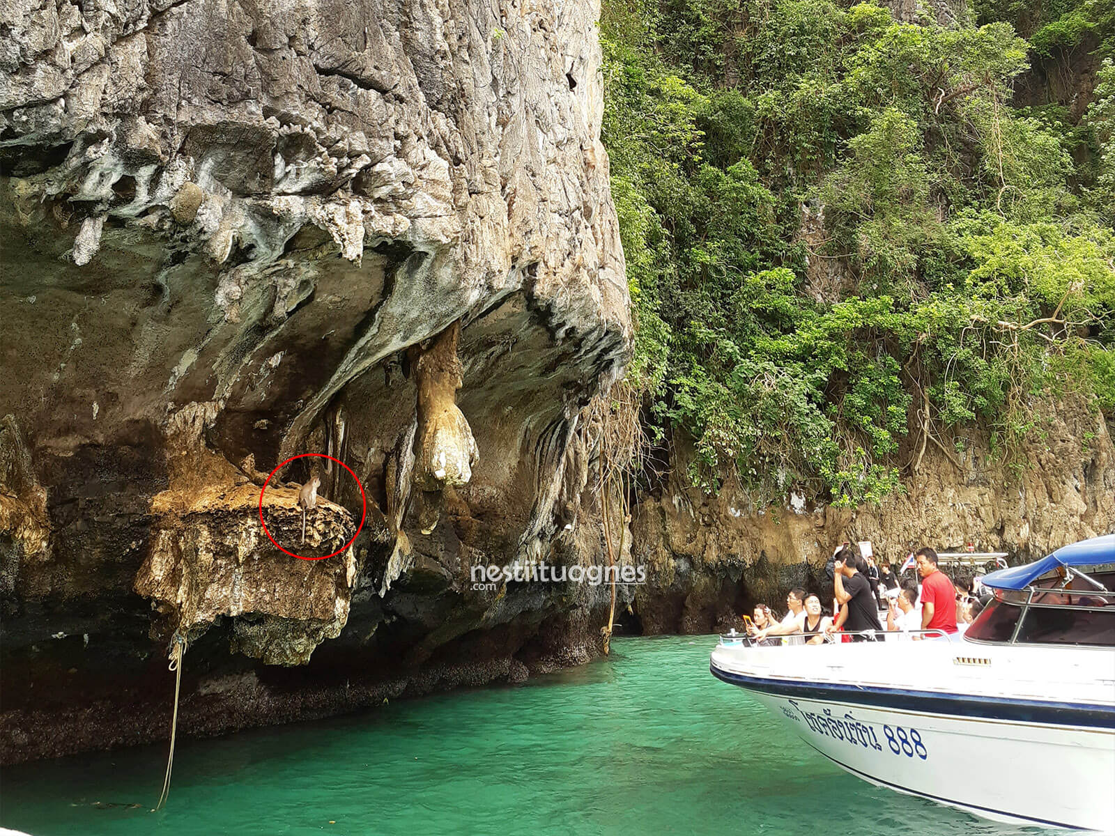 Wisata ke Phuket Pengalaman Ikut Tour Phi Phi Islands